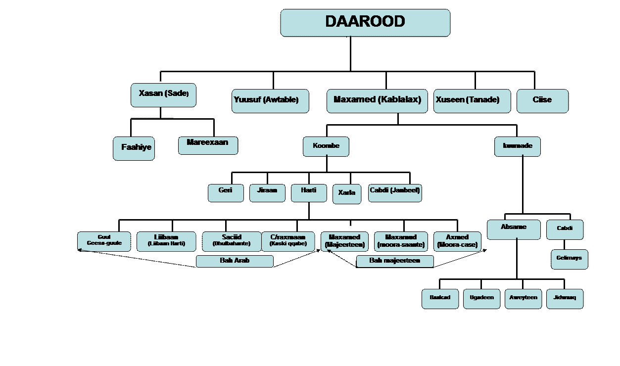 Organization Chart